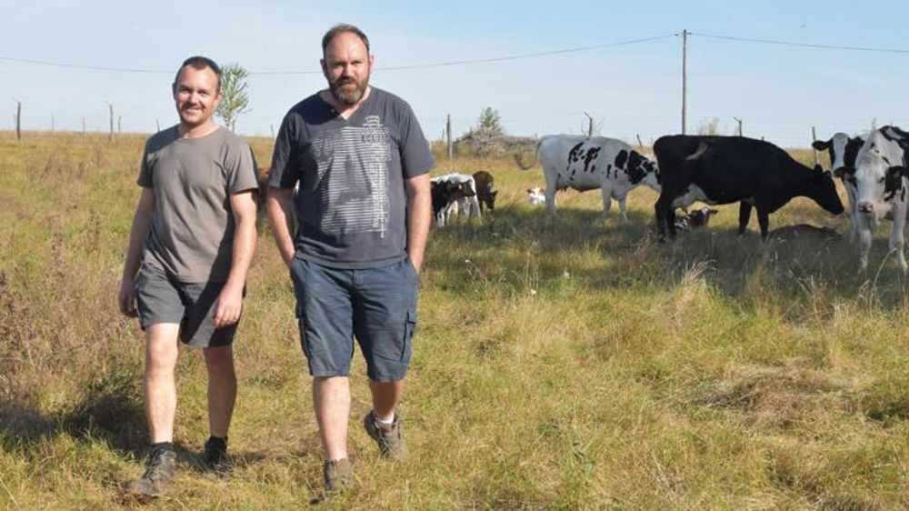 Marc (à droite) et Alexandre Ben ont revu leur système afin de diminuer les charges et le temps de travail. © A. Richard